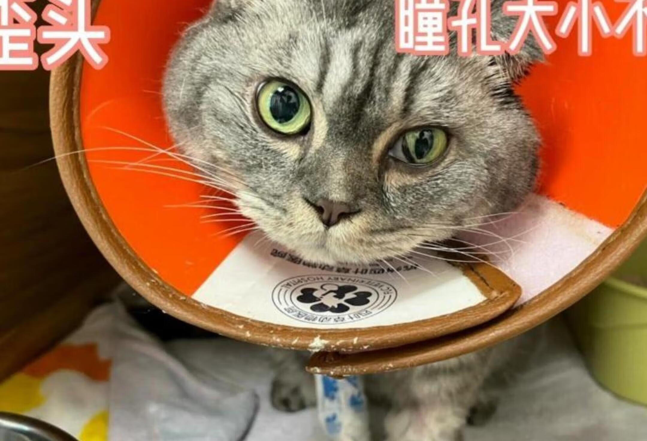 敲黑板🙌🏻小叶子课堂开课啦🐱