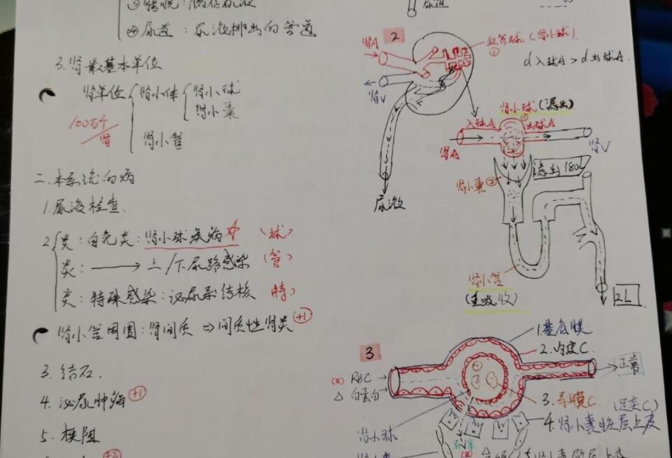 执业医第11天