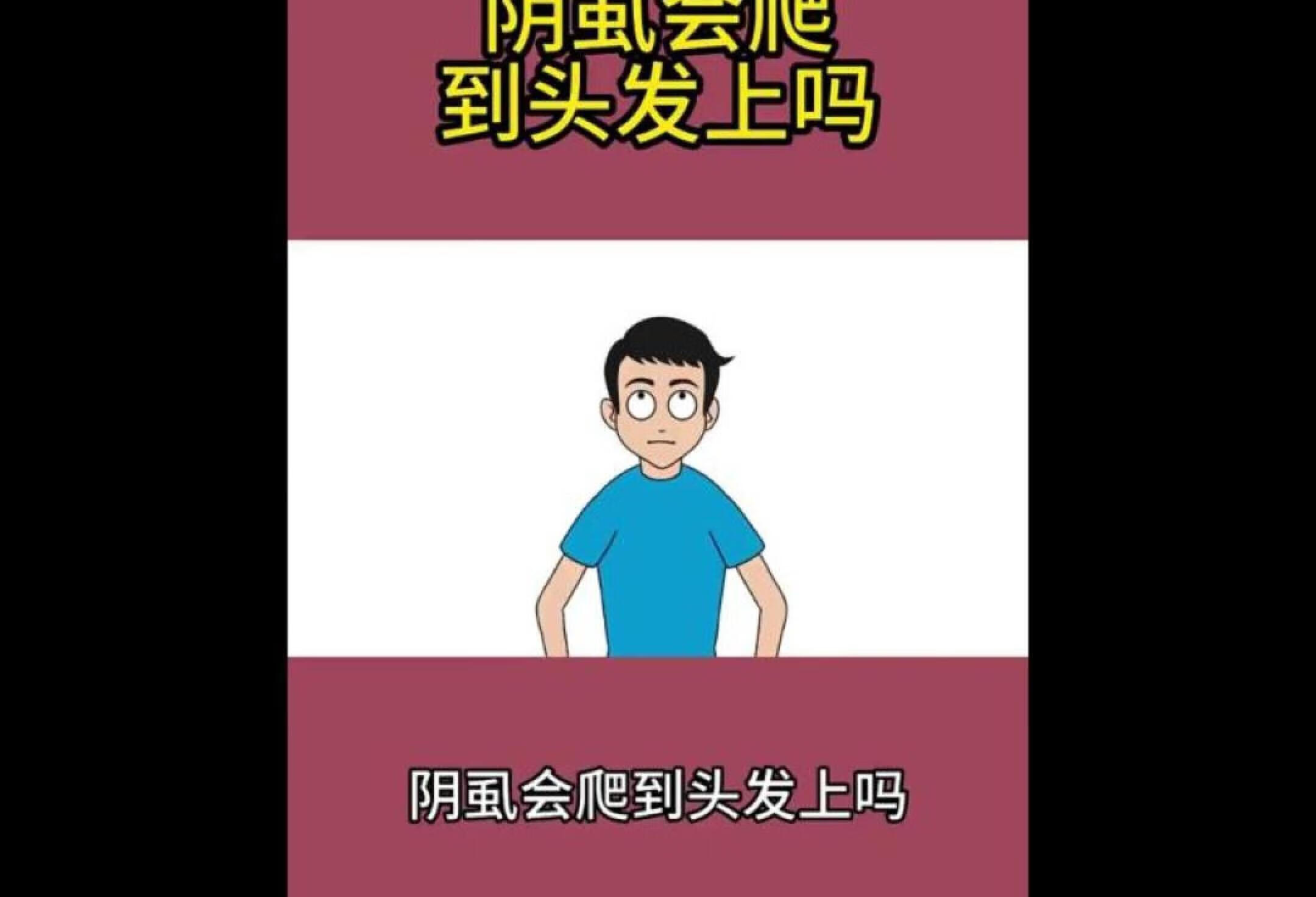 阴虱会爬到头发上吗？