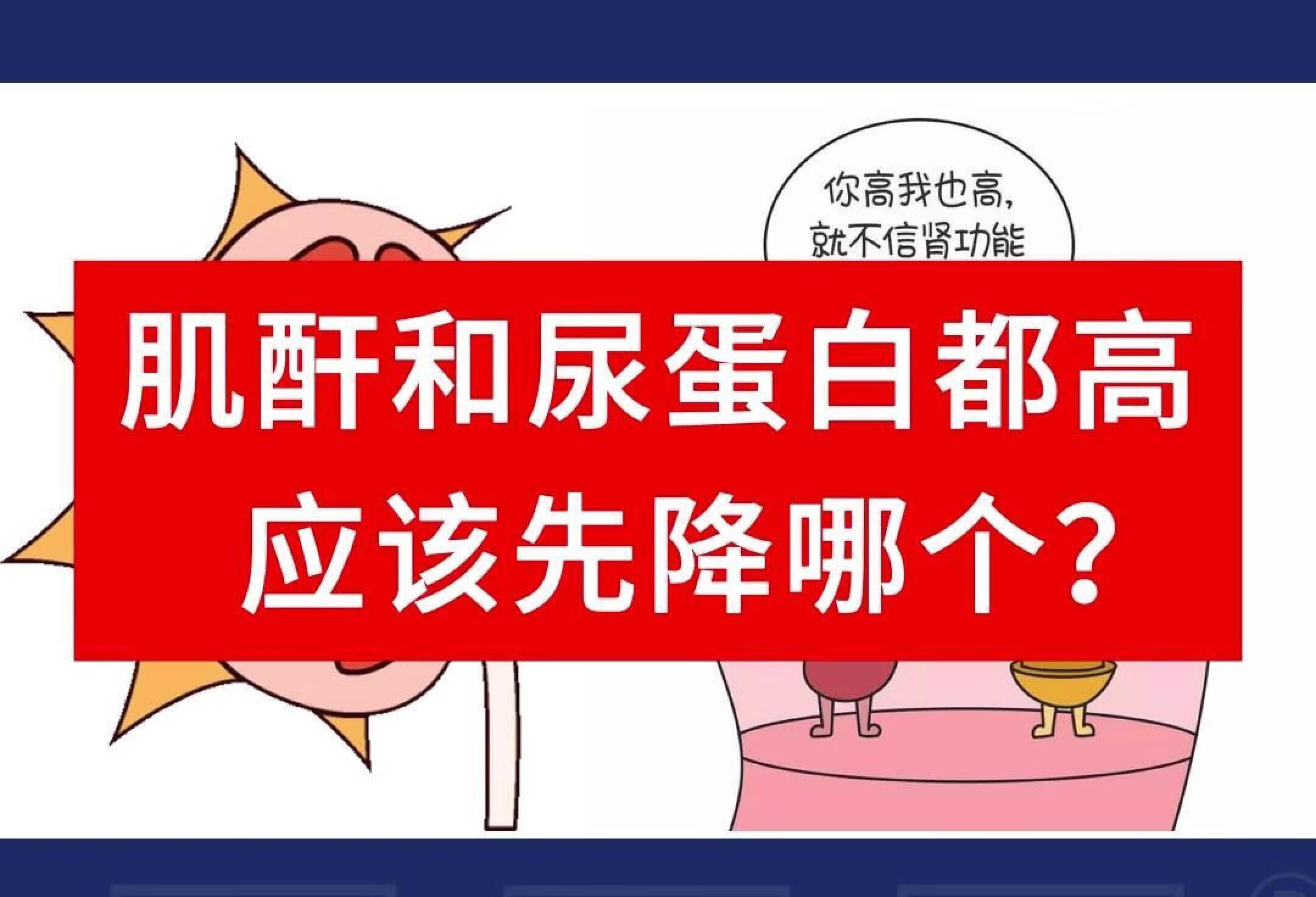 肌酐和尿蛋白都高，应该先降哪个？