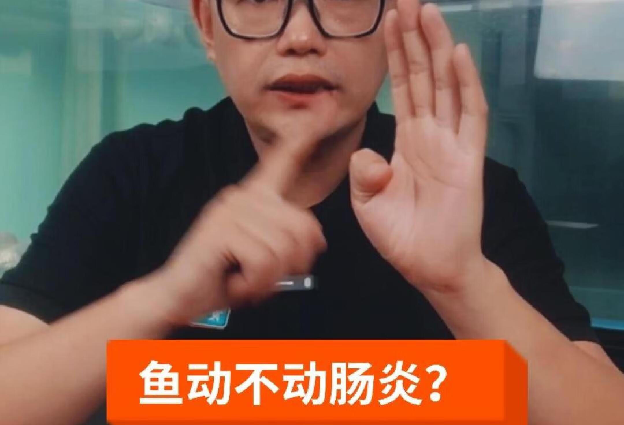 观赏鱼肠炎到底是怎么判断的？