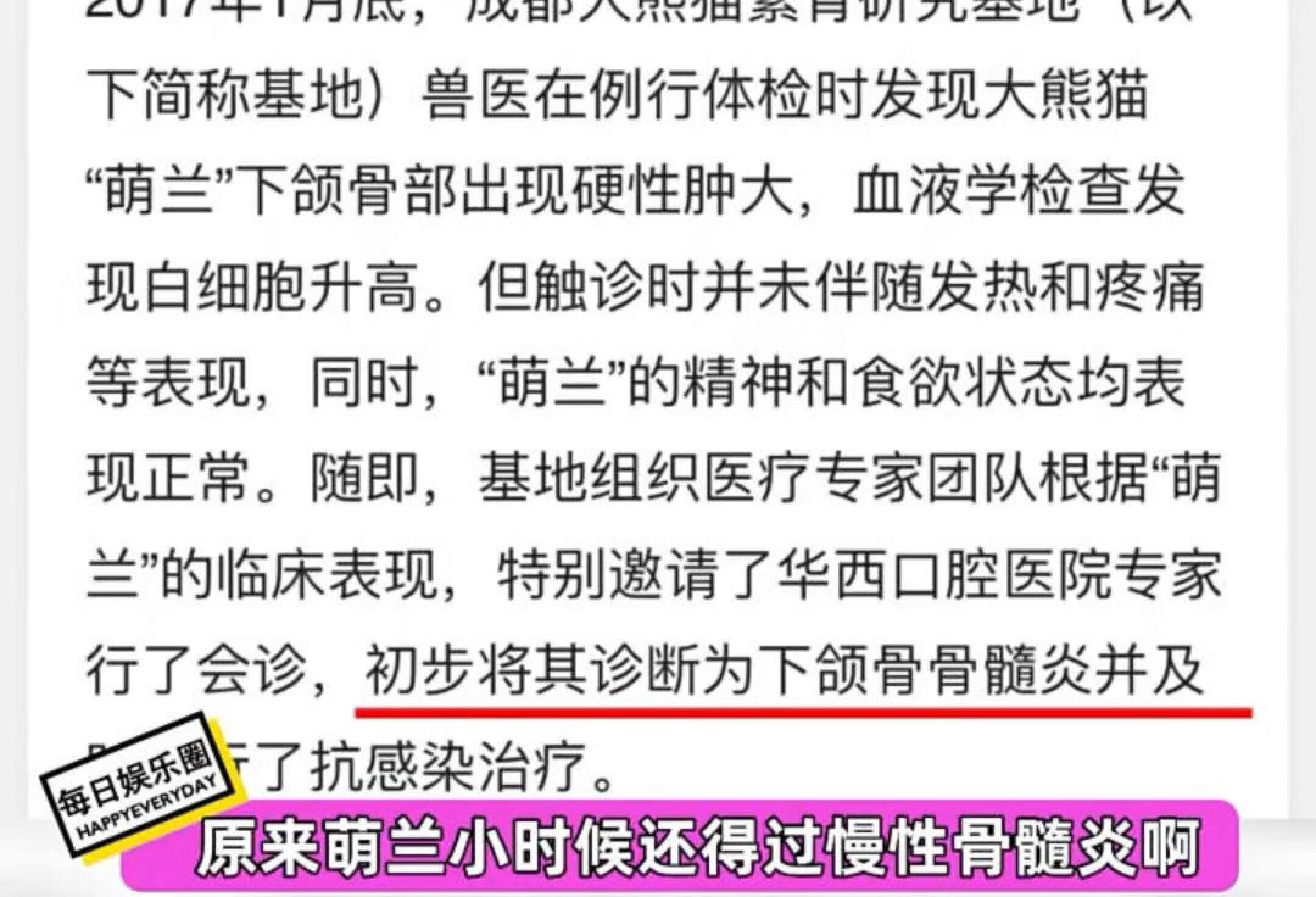 萌兰真的是乐天派小熊精吧！永远活力满满！