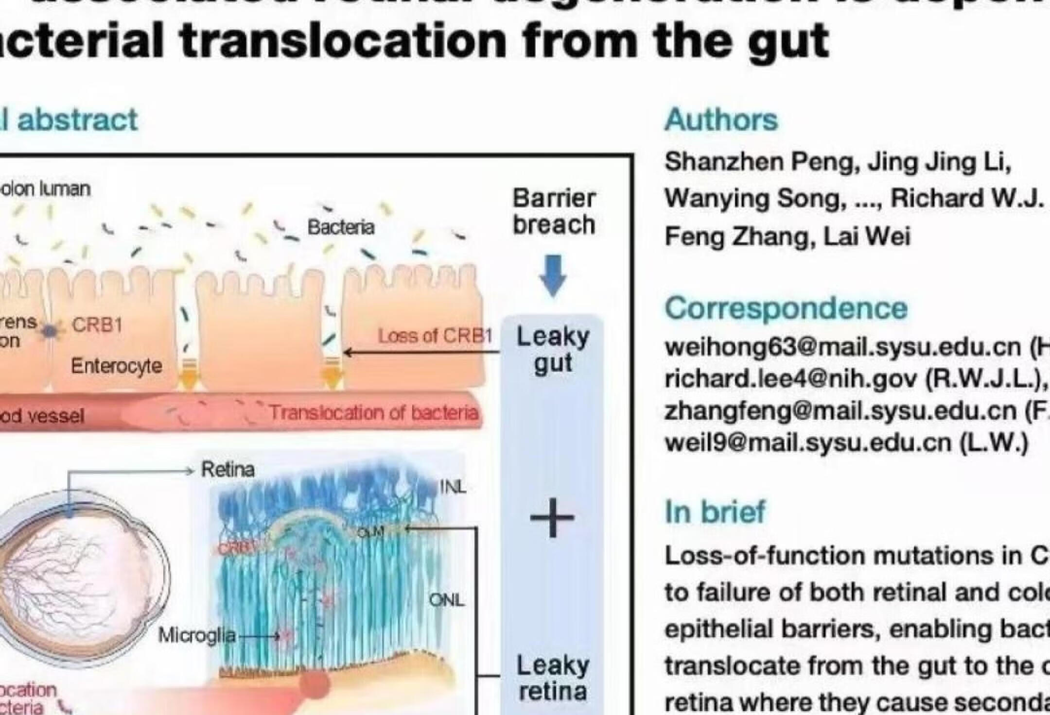 Cell杂志发表视网膜退行性疾病重大突破