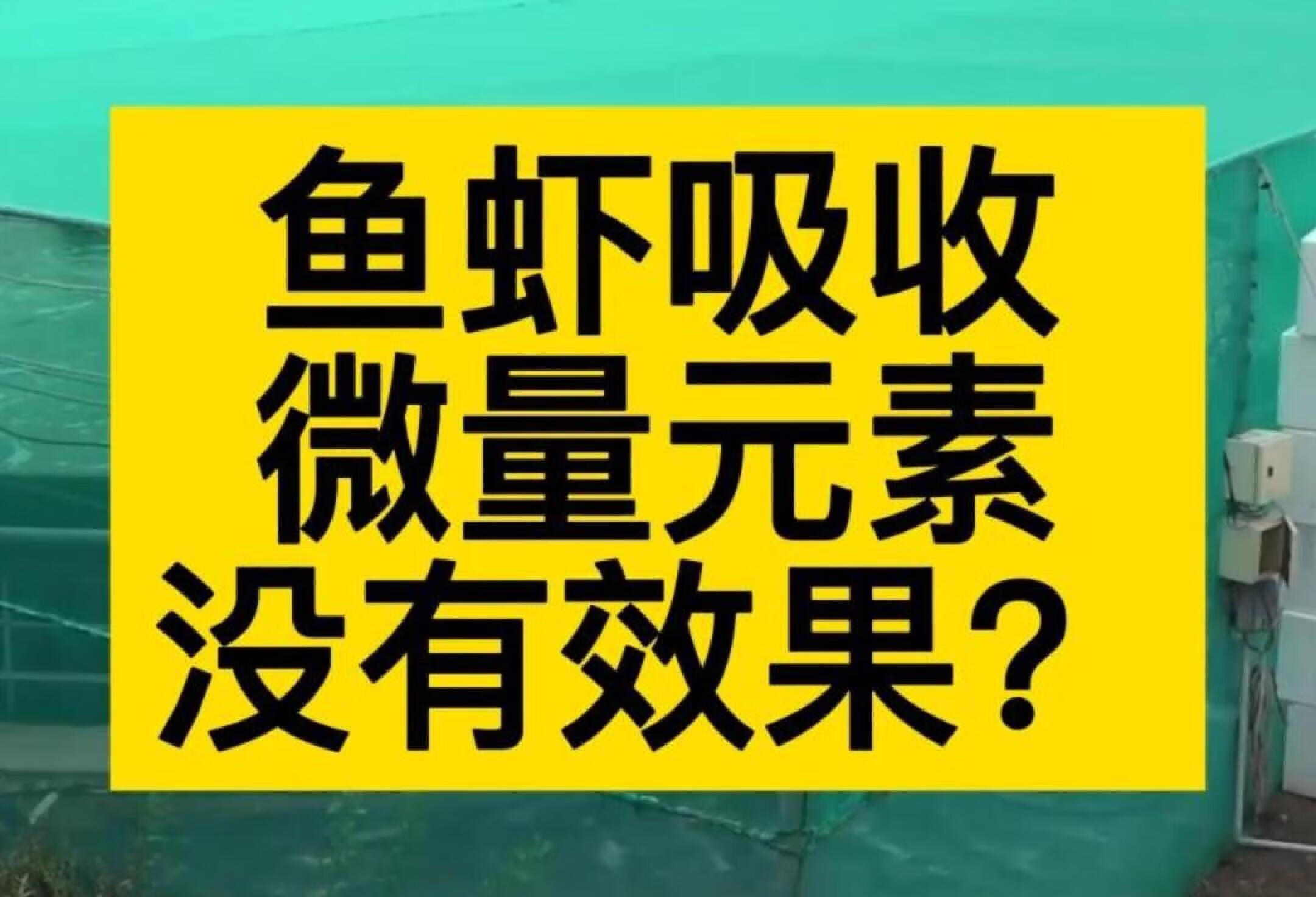 鱼虾吸收微量元素，没效果？浪费！