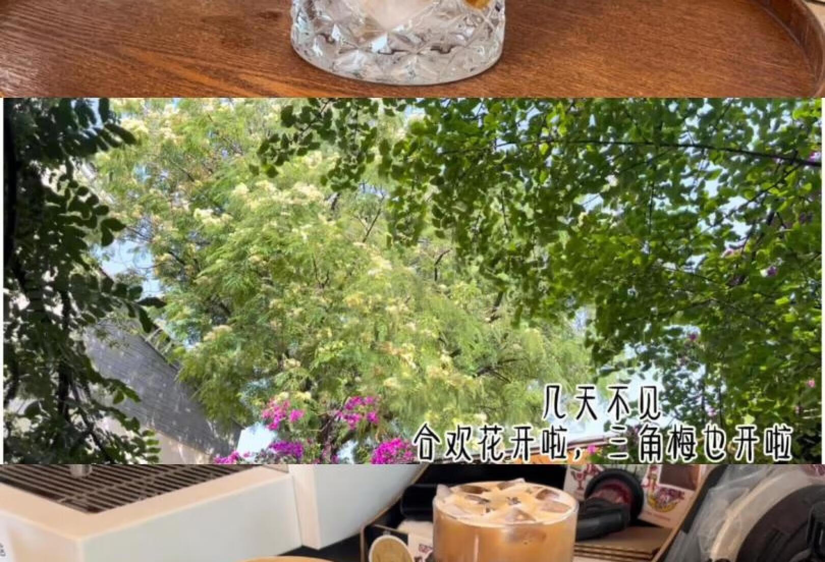 官渡古镇咖啡店｜沉浸式咖啡出品｜庭院自然美