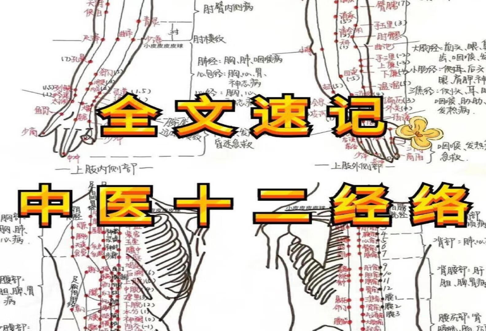 如何用80个记忆宫殿背完一整本《伤寒论》