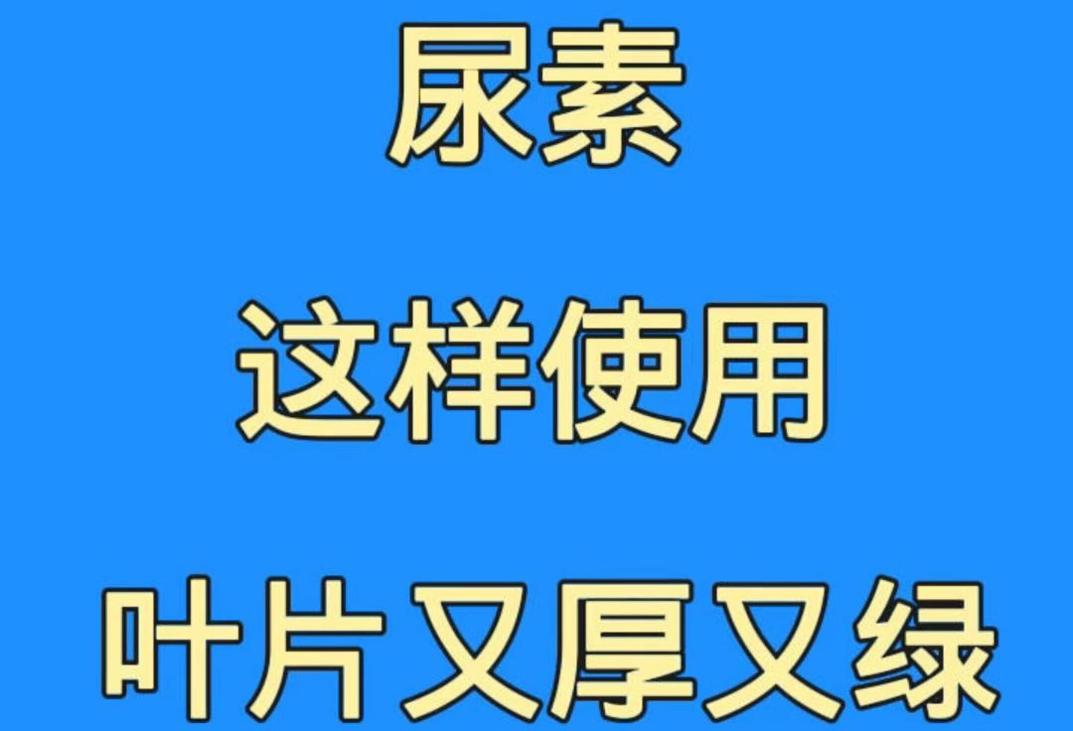 尿素黄金配方，效果翻几倍