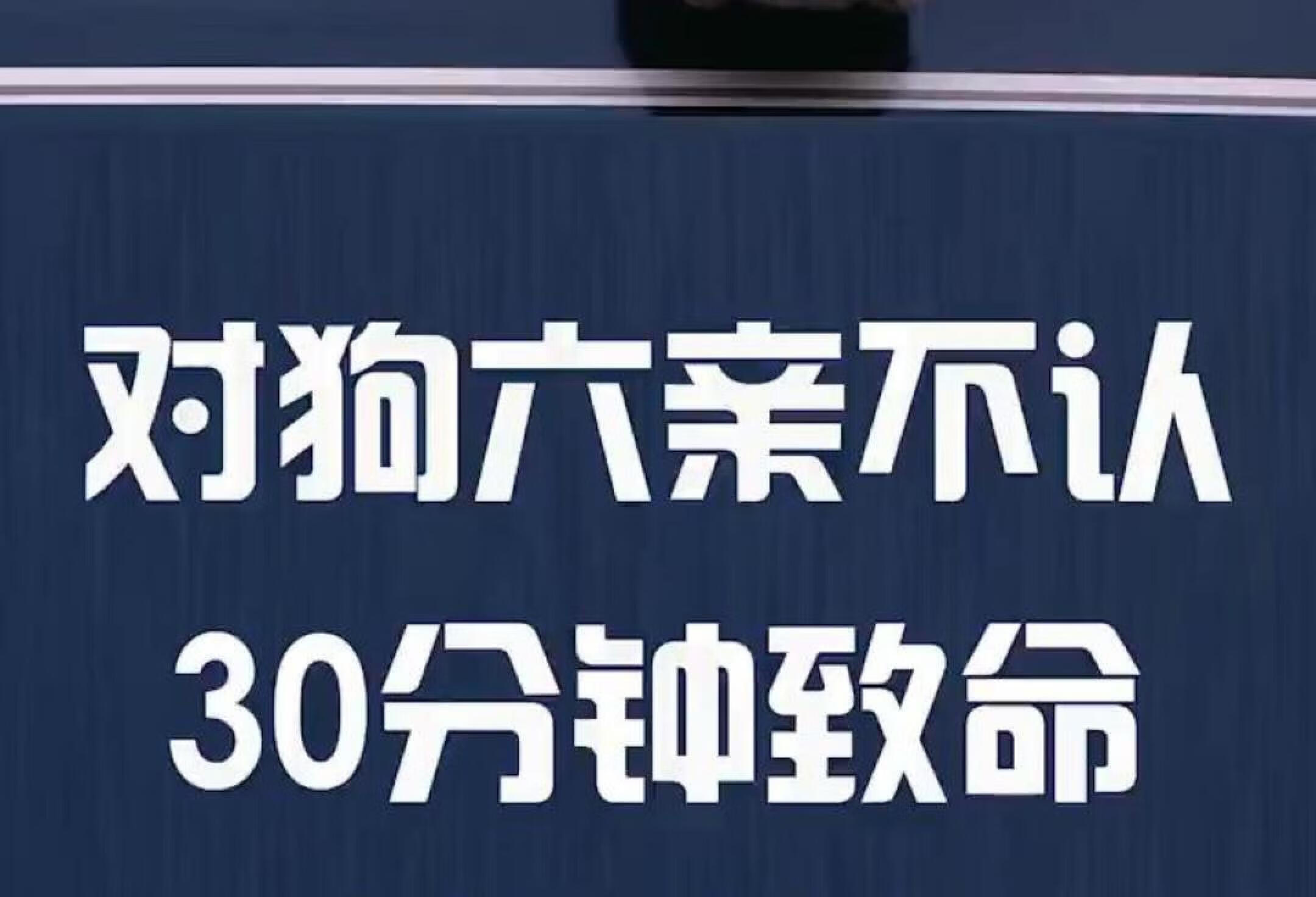 可怕的狗狗脑炎