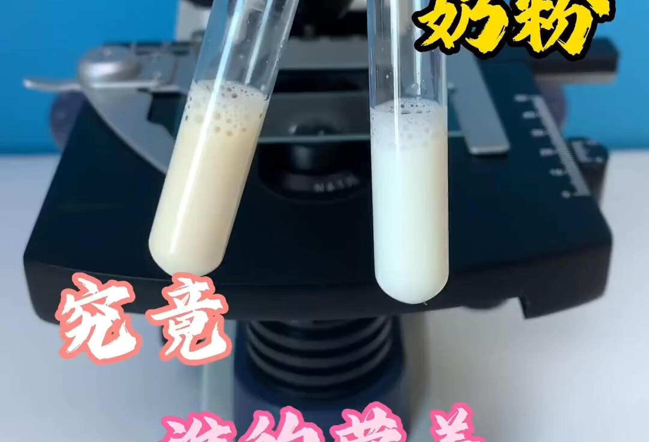 一分钟明白 | 母乳与配方奶的区别