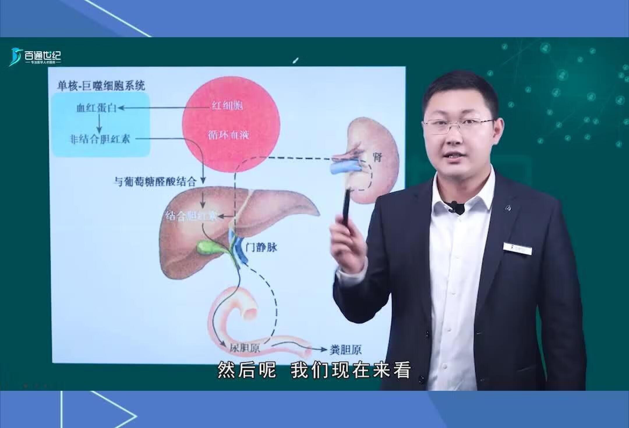 内科学正常胆红素代谢