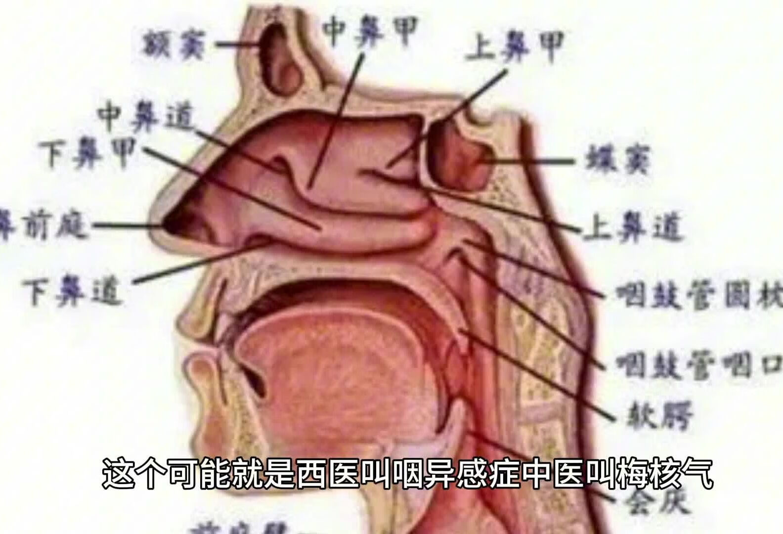 喉咙总是感觉有痰吐不净是什么原因？