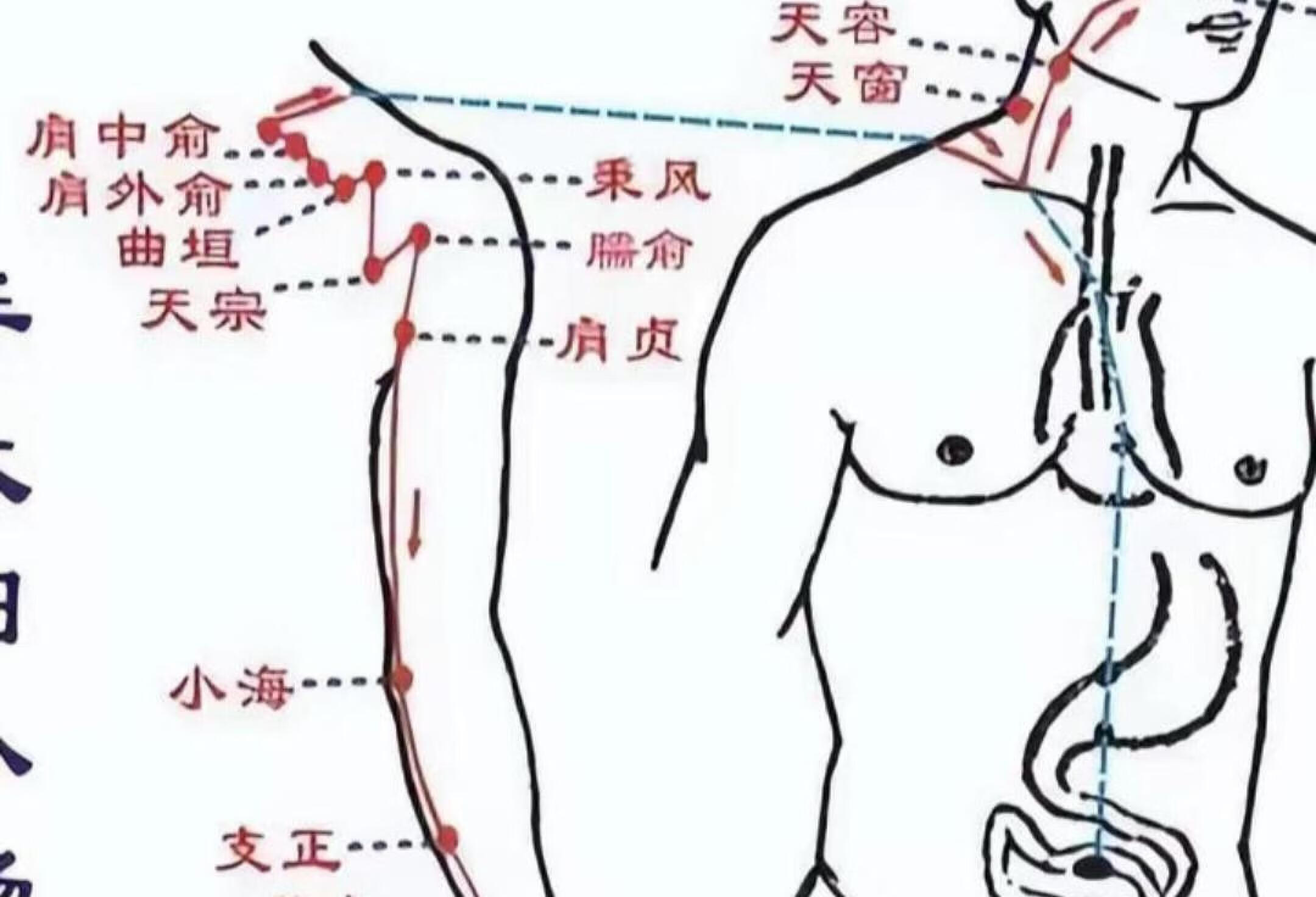 关于经络通的正确使用说明