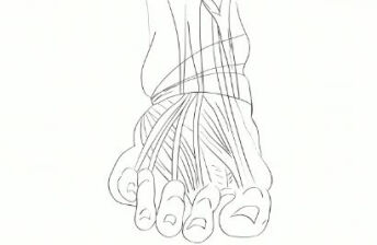 脚趾感觉麻木是什么原因而引起的？