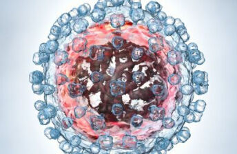 病毒感染血常规的表现是什么