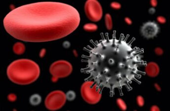 献血能查出艾滋病吗