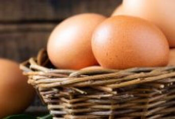 补充蛋白质，每天吃鸡蛋就可以了？