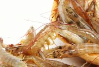 虾背里的虾线，是大虾的肠道，吃了以后会有啥后果？