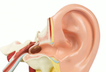 贫血引起的耳鸣怎么治疗？