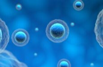 什么是噬血细胞综合征? 
