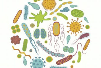 新型冠状病毒6大关键问题:感染性、致命性究竟如何?