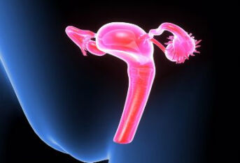 输卵管性不孕症如何诊断