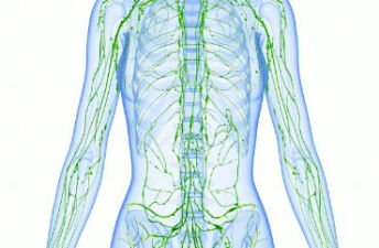 如何促进淋巴排毒
