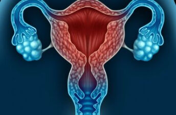 多囊女性的卵巢功能到底如何？