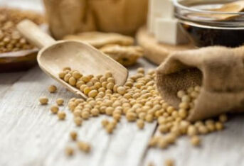 大豆富含营养却争议不断，到底是为什么呢？