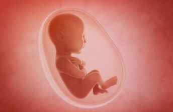 胎儿超声之鼻骨缺损或发育不良