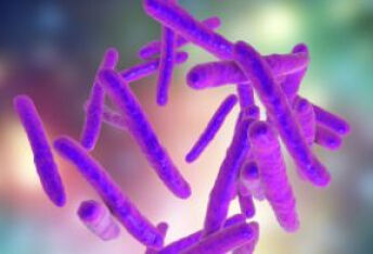 急性细菌性下呼吸道感染的抗感染治疗
