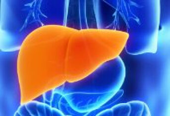 怎样养好自己的肝脏？