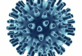 生殖器疱疹和梅毒的区别