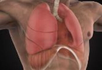 肺气肿能预防吗