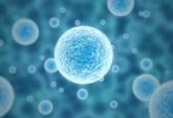 干细胞是什么？