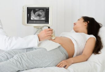 早期妊娠的诊断