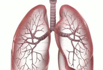 养肺的“扛把子”被发现！你若爱吃，肺部毒素一扫而空
