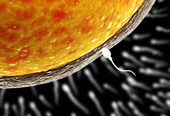 精子在体外能存活吗？