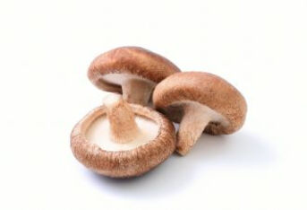 “可盐可甜”集食用和药用于一身的食物——蘑菇与香菇