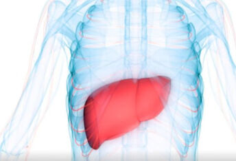肝脏表面粗糙如何恢复？