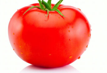 西红柿当中含有少量尼古丁，要生吃还是炒熟吃呢？