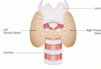 甲状腺结节的微创治疗新手段_微波消融。