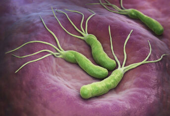 幽门螺旋杆菌感染都有哪些症状