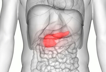 胰腺癌有什么表现？