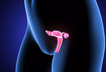 帮您读懂宫颈防癌筛查报告