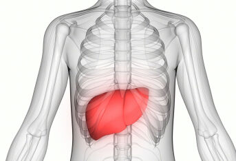 阿米巴肝脓肿的非手术治疗