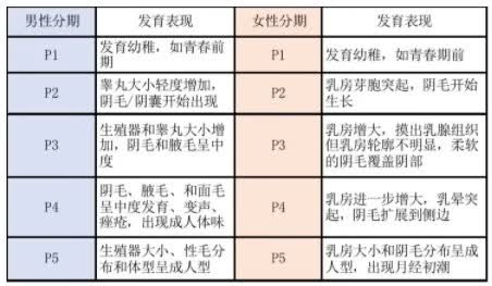 青春期与身高有关的5个性发育秘密-京东健康