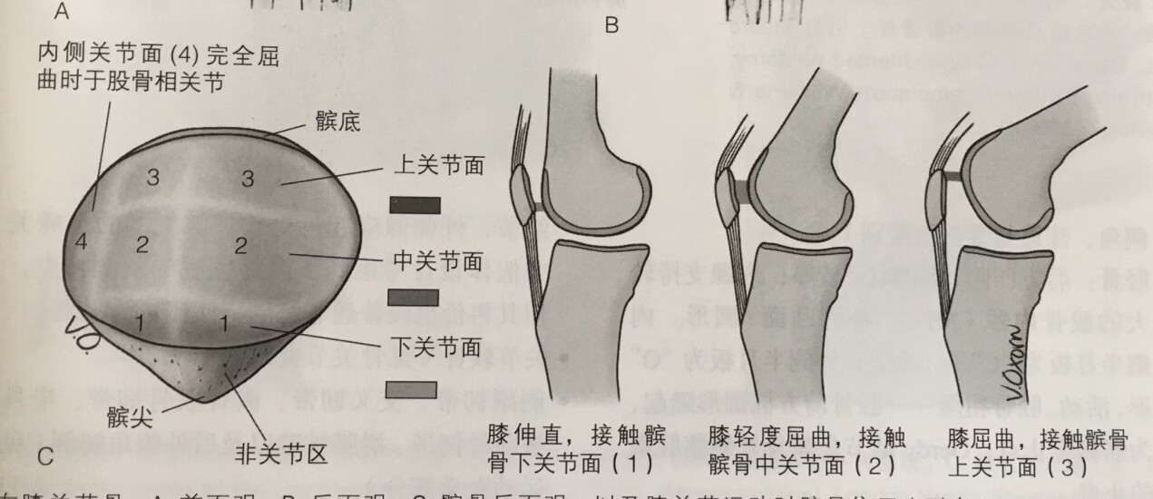 膝关节长大量骨刺可以不手术,磨掉骨刺就能止痛并改善活动-京东健康