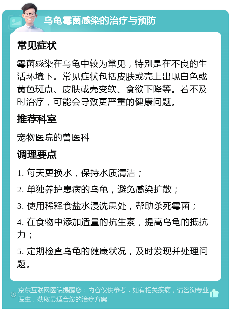 乌龟霉菌感染的治疗与预防 常见症状 霉菌感染在乌龟中较为常见，特别是在不良的生活环境下。常见症状包括皮肤或壳上出现白色或黄色斑点、皮肤或壳变软、食欲下降等。若不及时治疗，可能会导致更严重的健康问题。 推荐科室 宠物医院的兽医科 调理要点 1. 每天更换水，保持水质清洁； 2. 单独养护患病的乌龟，避免感染扩散； 3. 使用稀释食盐水浸洗患处，帮助杀死霉菌； 4. 在食物中添加适量的抗生素，提高乌龟的抵抗力； 5. 定期检查乌龟的健康状况，及时发现并处理问题。