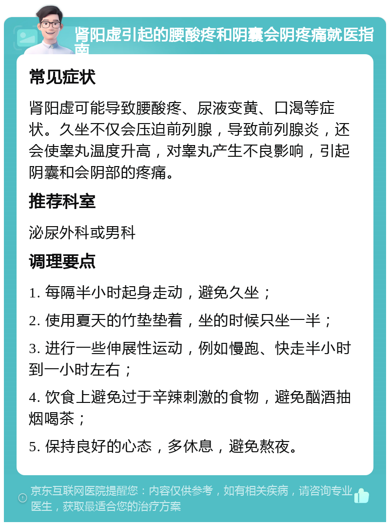 肾阳虚引起的腰酸疼和阴囊会阴疼痛就医指南 常见症状 肾阳虚可能导致腰酸疼、尿液变黄、口渴等症状。久坐不仅会压迫前列腺，导致前列腺炎，还会使睾丸温度升高，对睾丸产生不良影响，引起阴囊和会阴部的疼痛。 推荐科室 泌尿外科或男科 调理要点 1. 每隔半小时起身走动，避免久坐； 2. 使用夏天的竹垫垫着，坐的时候只坐一半； 3. 进行一些伸展性运动，例如慢跑、快走半小时到一小时左右； 4. 饮食上避免过于辛辣刺激的食物，避免酗酒抽烟喝茶； 5. 保持良好的心态，多休息，避免熬夜。