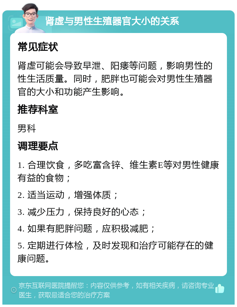 肾虚与男性生殖器官大小的关系 常见症状 肾虚可能会导致早泄、阳痿等问题，影响男性的性生活质量。同时，肥胖也可能会对男性生殖器官的大小和功能产生影响。 推荐科室 男科 调理要点 1. 合理饮食，多吃富含锌、维生素E等对男性健康有益的食物； 2. 适当运动，增强体质； 3. 减少压力，保持良好的心态； 4. 如果有肥胖问题，应积极减肥； 5. 定期进行体检，及时发现和治疗可能存在的健康问题。